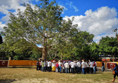 Declaración Ceiba, Yucatán