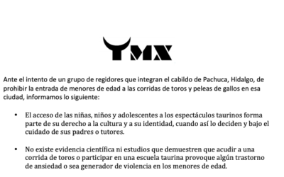 TMX INFORMACIÓN NIÑOS-PACHUCA