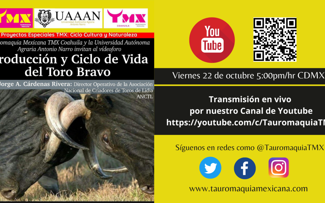EN VIVO este próximo viernes 22 – Video-Foro  Producción y Ciclo de Vida del Toro Bravo