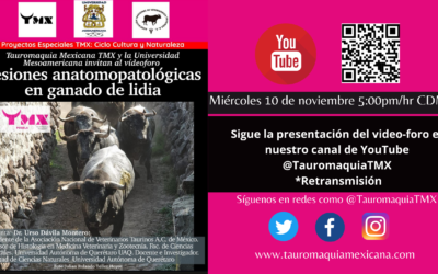 VIDEO FORO TMX-UNIVERSIDAD MESOAMERICANA “Lesiones Anatomopatologicas en el ganado de lidia” 5:00pm por YouTube