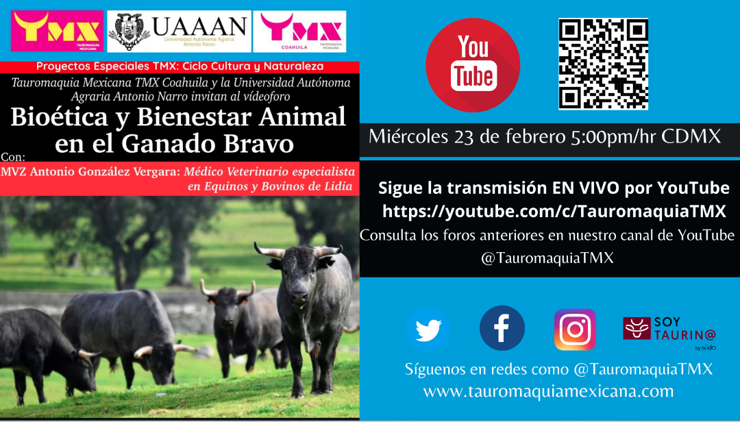 Cultura y Naturaleza: Videforo Bioética y Bienestar Animal en el Ganado Bravo
