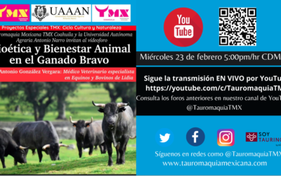 Cultura y Naturaleza: Videforo Bioética y Bienestar Animal en el Ganado Bravo