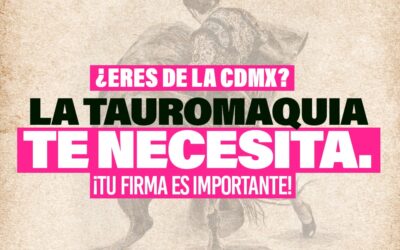 TMX SE SUMA AL ESFUERZO DE RECOLECCIÓN DE FIRMAS A FAVOR DE LAS TRADICIONES POPULARES EN LA CDMX