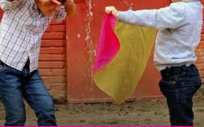 Tauromaquia Mexicana celebra la decisión de la Suprema Corte de Justicia de la Nación que reconoce la libertad cultural de la niñez y juventud